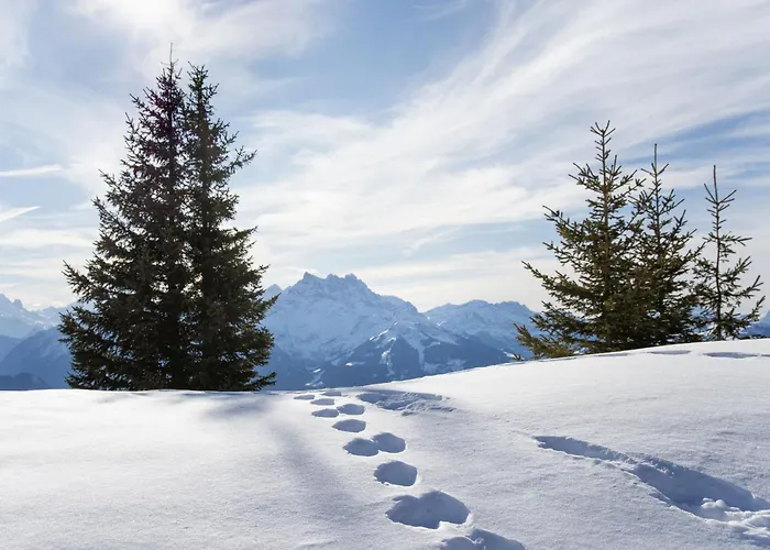 Chantebrise A1 By Interhome * Chesières